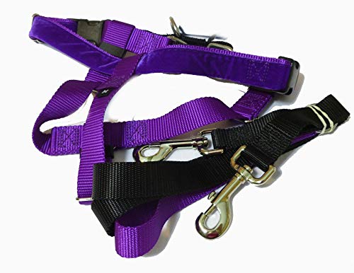 2 Hounds Design Freedom No Pull Trainingsleine – 2,5 Cm Breit, Für No Pull Geschirre