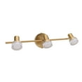 thumbnail image 1 of Modern Vanity Lights, Gold 3 Light Bathroom Light Fixtures Sturdy  for Hallway, 1 of 7
