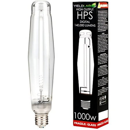 UPC 618020041981