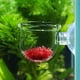 thumbnail image 5 of Maceta para acuario con ventosa de acrílico transparente | Recipiente transparente para plantas de pecera con orificios de permeación | Contenedor seguro para plantas acuáticas en acuarios de, 5 of 5