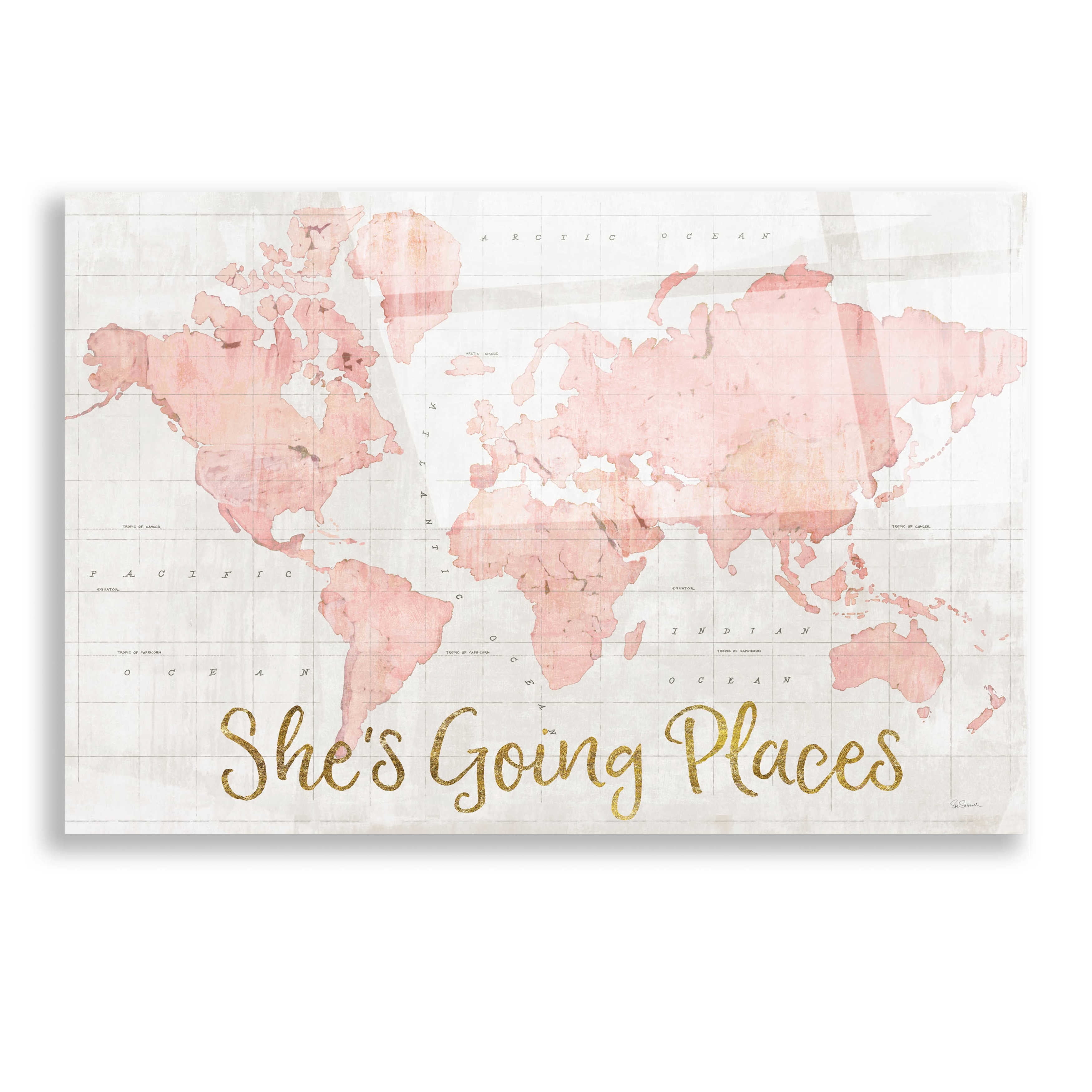 She S Going Places Pink Map Stupell Industries She's Going Places Quote Pink Watercolor World Map  Design By Sue Schlabach, 16" X 20" - Walmart.com