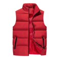 thumbnail image 1 of Men's Quilted Vest For Warmth s202412247838, 1 of 2
