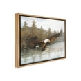 thumbnail image 4 of Stupell Industries Flying Eagle over Lake Animals & Insects Painting Brown Floater Framed Canvas Art Print Wall Art, 31 x 25, 4 of 10