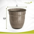 thumbnail image 2 of Headwind Glazed Ironstone Boutique Collection Plant Pot Indoor – Mini Venti 5 Inch – Greige Color Flower Pots for Indoor Plants - Glazed Pots for Plants by Robert Allen, 2 of 4