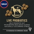 thumbnail image 2 of Purina Pro Plan Specialized Beef and Rice Formula Large Breed Dry High Protein Food With Probiotics for Dogs 47 lbs., 2 of 2