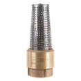 thumbnail image 1 of Pie de resorte de latón FIP de Valve CAMPBELL MANUFACTURING LLC, 1 of 2