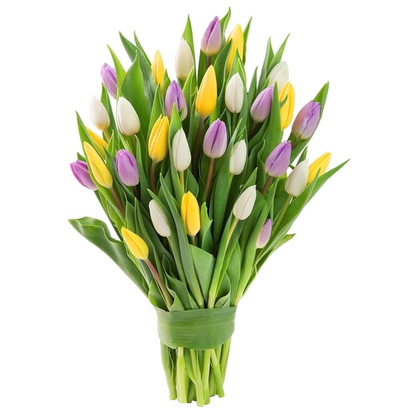 KaBloom :Bouquet of 30 Assorted Tulips Next-Day Delivery, Gift for Every Occasion.