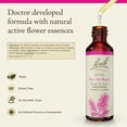 thumbnail image 2 of Bach Flower Essences Pine | Pino 20 ml (0,7 oz. líq.), 2 of 6