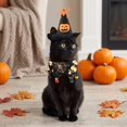 thumbnail image 6 of Halloween Pet Costume Accessories, Adjustable 2 Pieces Set with Witch Hat and Bandana, Pumpkin Spider Print Decor for Small Dogs Cats, Halloween Trick Or Treat Party Holiday Outfit, 6 of 7
