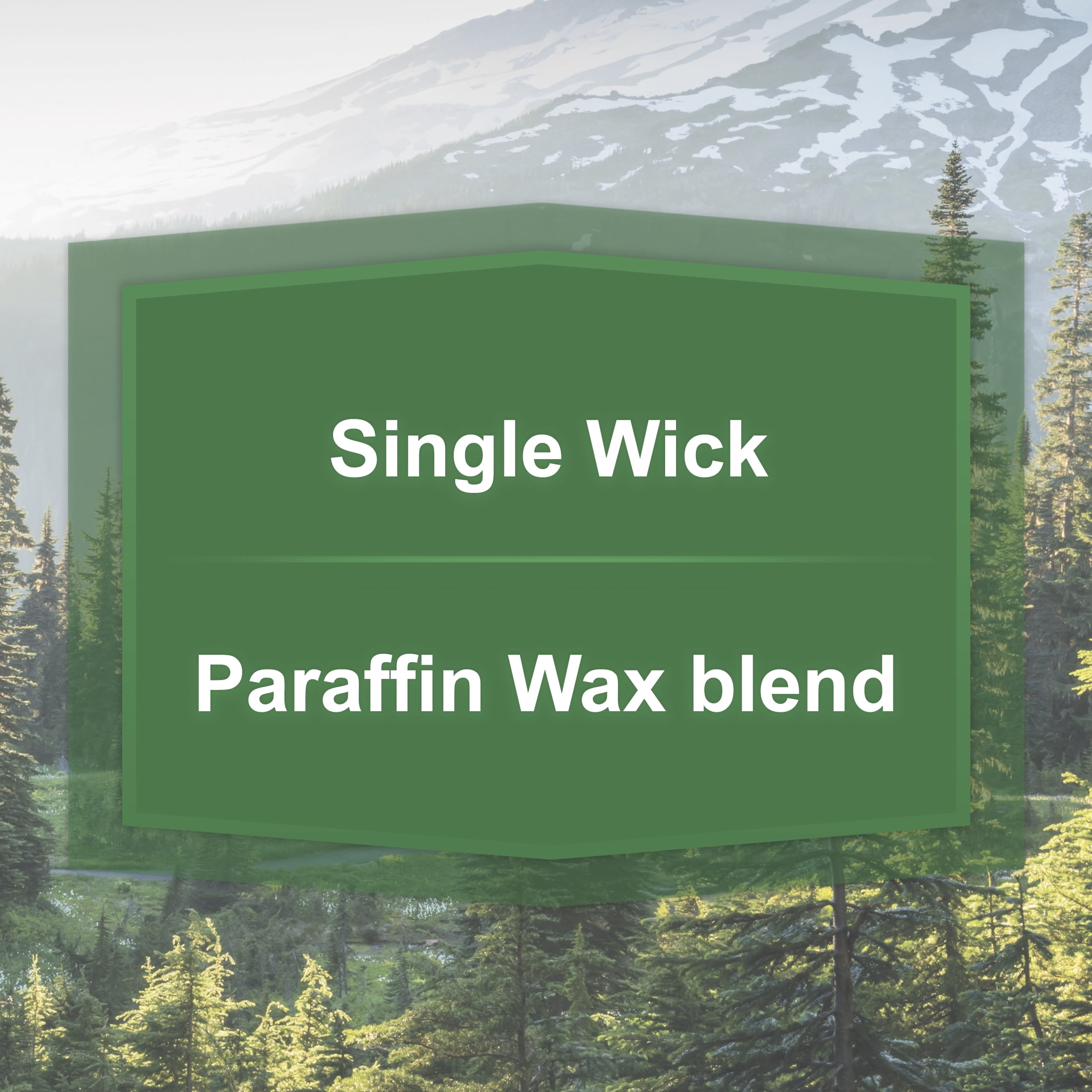 (2 pack) Mainstays Alpine Forest Single-Wick Scented Glass Jar Candle, 20 oz