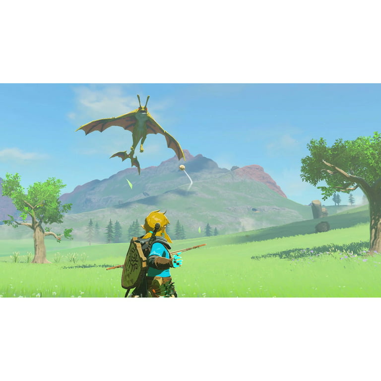 Zelda: Tears Of The Kingdom Collector's Edition And Amiibo