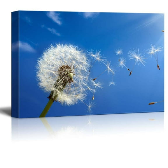 wall26 Canvas Prints Wall Art - Dandelion Blowing in the Wind | Modern Wall Decor/Home Decoration Stretched Gallery Canvas Wrap Giclee Print. Ready to Hang - 12" x 18"