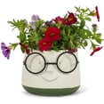thumbnail image 2 of Abbott Collection Home 27-IQ-561-SM Small Face Planter with Glasses, Ivory/Green, 2 of 2
