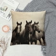 thumbnail image 2 of GOSMITH  Throw Pillow Covers African Animals Running Horse Waist Horses Pillow Cases Realistic Horse Eyes Simplin Animal Armchair Cushion Cover Home Decor Pillowcases, 2 of 5