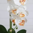 thumbnail image 3 of Nearly Natural 27in. Artificial Triple Orchid Arrangement in Handmade Mexican Talavera Ceramic Planter, 3 of 7