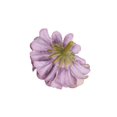 thumbnail image 4 of Gerich 50 Pcs Flower Head Hydrangea Artificial Silk Floral Wedding Party Decor Craft Light Purple, 4 of 14