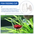 thumbnail image 3 of Miangastore Mangeoire en Verre pour Aquarium, Appât pour Insectes Rouges, Tasse d'Alimentation pour Aquarium, 3 of 8