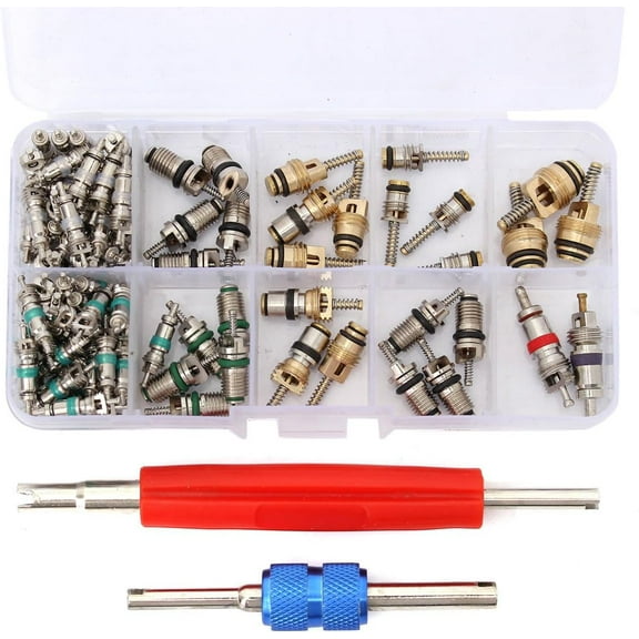Car Air Conditioning Core Valves 102Pcs,R12 R134A Automotive A/C Valve Stem Cores w/Removal Tool for Car Air Contitionaing Repair