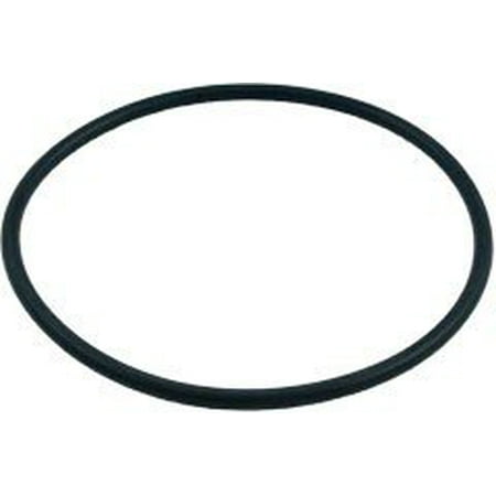 Pacfab Tagelus Sand Filter Body O-Ring for 1-1/2