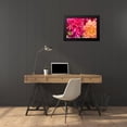 thumbnail image 4 of Love, Maureen 24x17 Black Modern Framed Museum Art Print Titled - Fuschia Dalhia III, 4 of 5