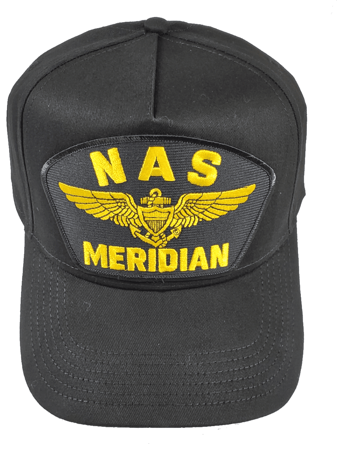 naval aviator wings hat