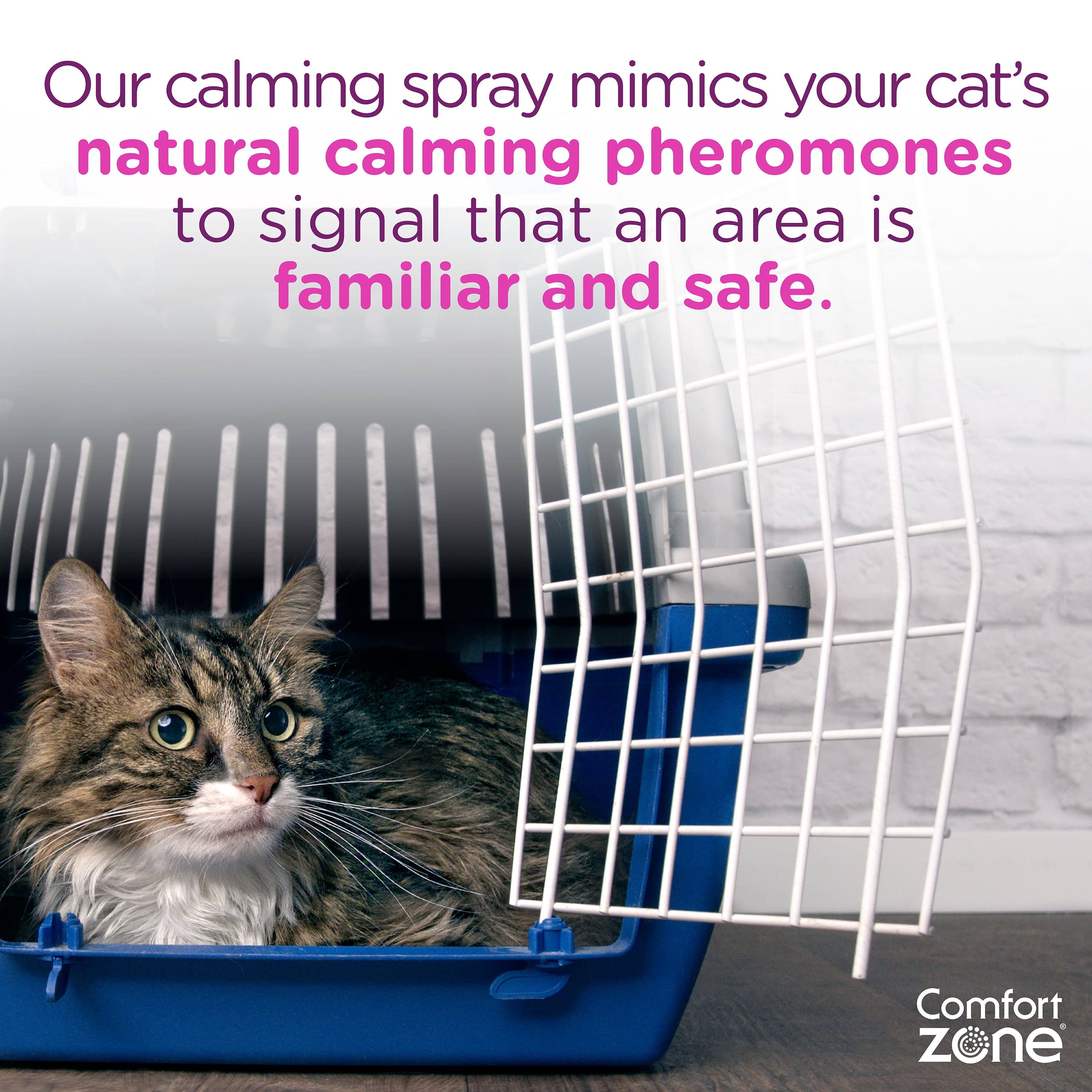 comfort zone cat spray
