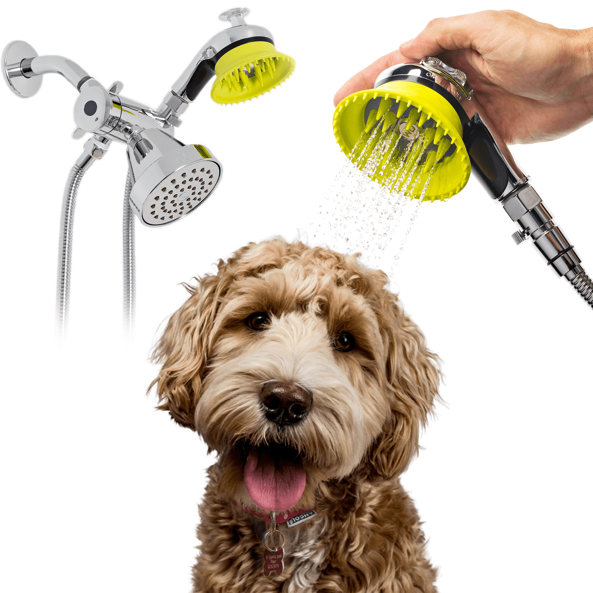 How Often Should You Bathe A Indoor Dog
