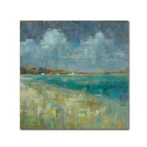 Trademark Fine Art 'Sky and Sea Crop' Canvas Art by Danhui Nai
