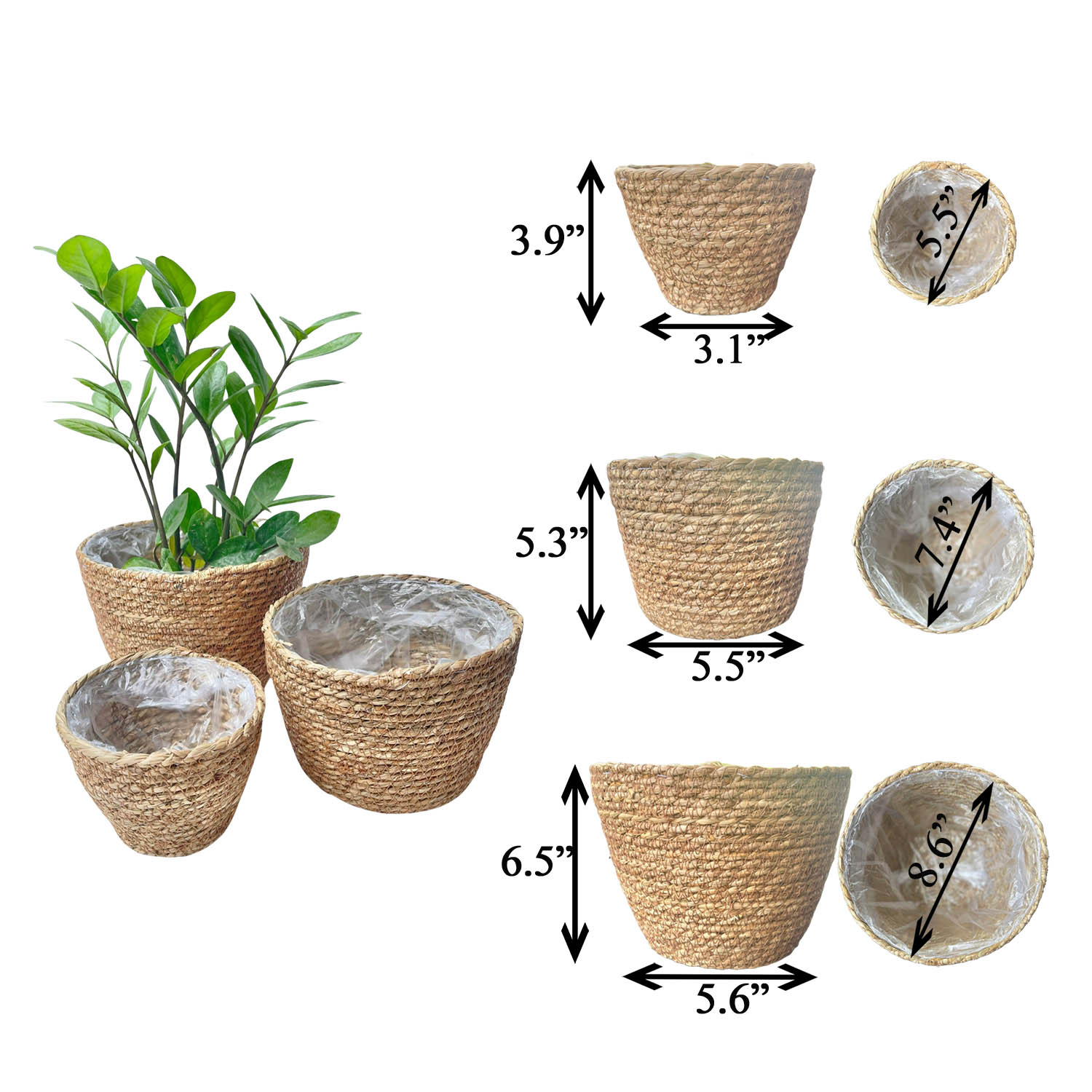 Laquedecraft Woven Seagrass Plant Basket, Decorative Planter for Small Space Living, Natural Home Styling, Living Room, Balcony, Kitchen, Gadren (Set of 3)