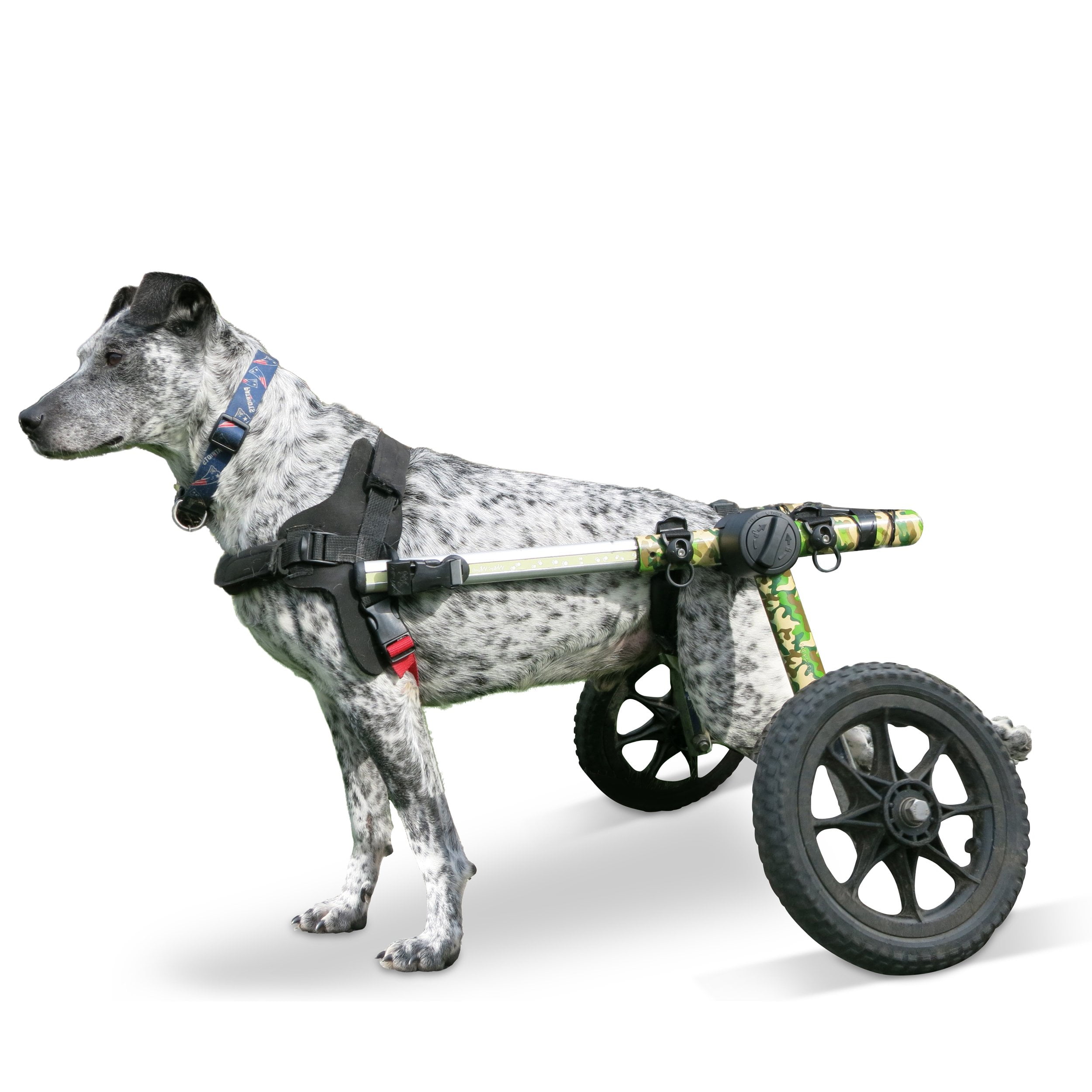Walkin' Wheels Dog Wheelchair for Med/Large Dogs 5069 Pounds