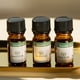 thumbnail image 2 of Aceite esencial de 5 ml de la colección Hotel Collection, difusor de aromas para aromaterapia inspirado en hoteles, perfumes para difusores de aceites esenciales, 2 of 5