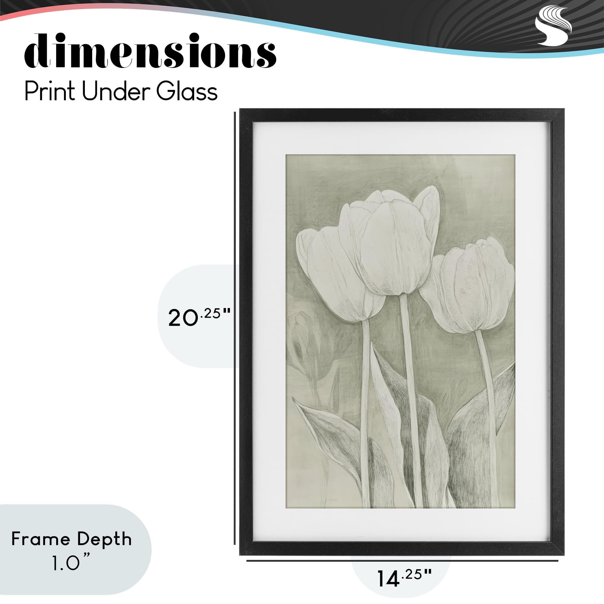 Stupell Industries Faded Tulips Pencil Sketch Black Framed Print Under Glass, design by Petal Prints Design