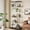 5 Shelf Double Door, variant on ROOMTEC Glass Display Cabinet with 5 Shelves, Double Doors, Floor Standing Display Cage, for Living Room Bedroom Office, 74.5 x 31.7 x 14.3 in, Black