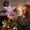 #192C, variant on Christmas Tree Topper, Crystal Star Ornament, LED Light Decor, Multicolor Flashing Effect and Sturdy Reusable Build for Tree Branches, Mantel Shelves and Holiday Gatherings.