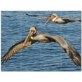 thumbnail image 1 of Bird Photo Ceramic Tile Mural Kitchen Backsplash Bathroom Shower 404103-XL43, 1 of 3