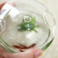 thumbnail image 5 of 2x Mushroom-shaped Hanging Glass Planter Vase Rumble Fish Tank Terrarium Container Home Garden Deco, 5 of 5