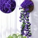 thumbnail image 1 of Cortinas de pared de flores de seda violeta - enredaderas artificiales de 85 cm con flores de 5 cm para decoración del hogar y la boda, 1 of 2