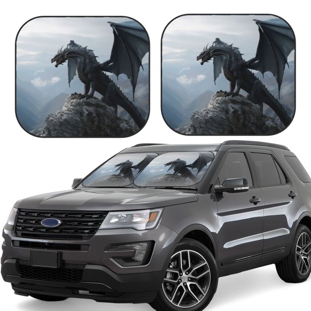 Fotbe Valley Gray Dragon Juego de 2 Piezas de Parasoles para Parabrisas | Bloqueador Solar para Auto | Accesorios Plegables para Protección Solar Interior-Small