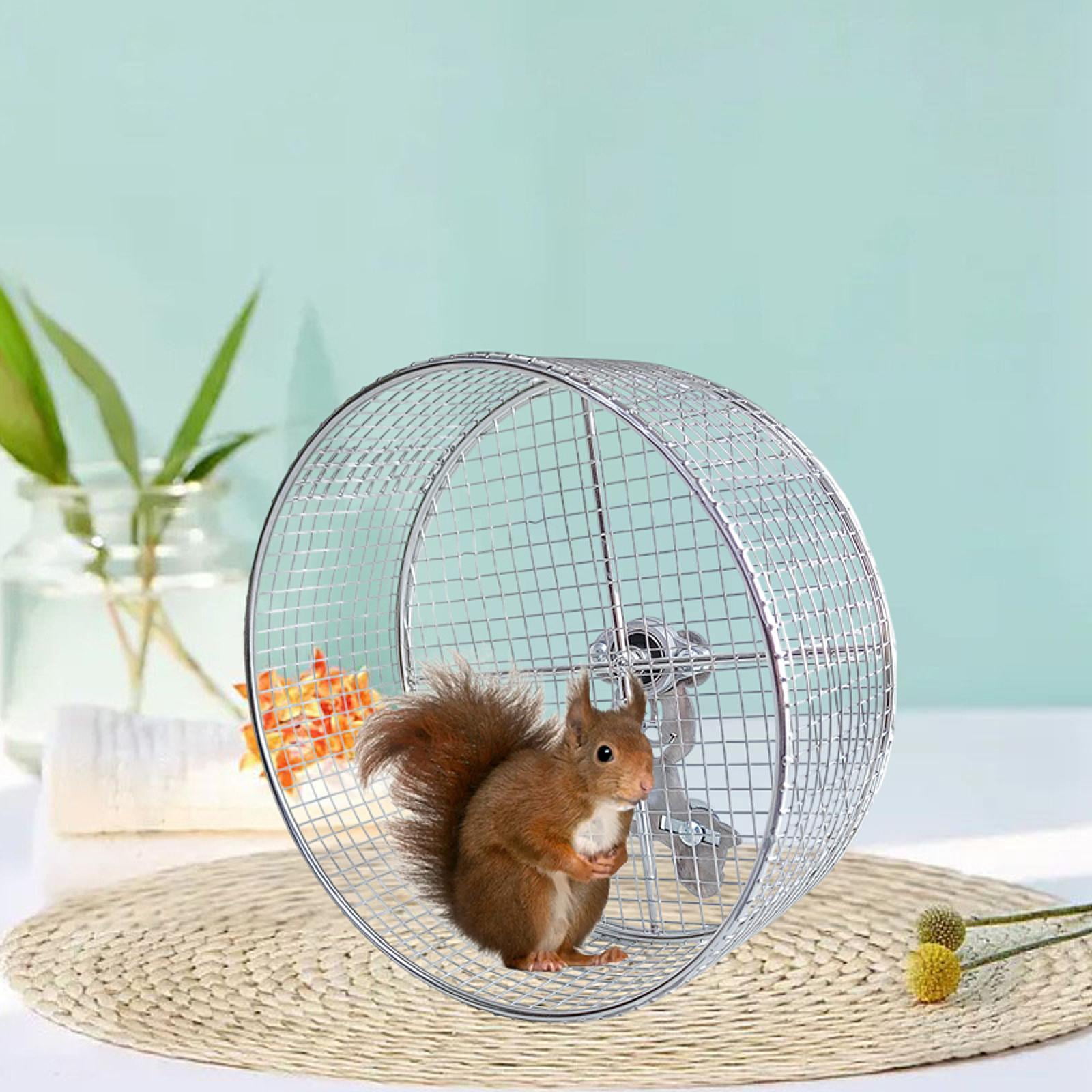 oshhni Hamster Running Exercise Wheel for Small Animals Fun to Play and Running Silent
