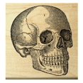 thumbnail image 1 of P30 Skull Rubber Stamp, 1 of 3