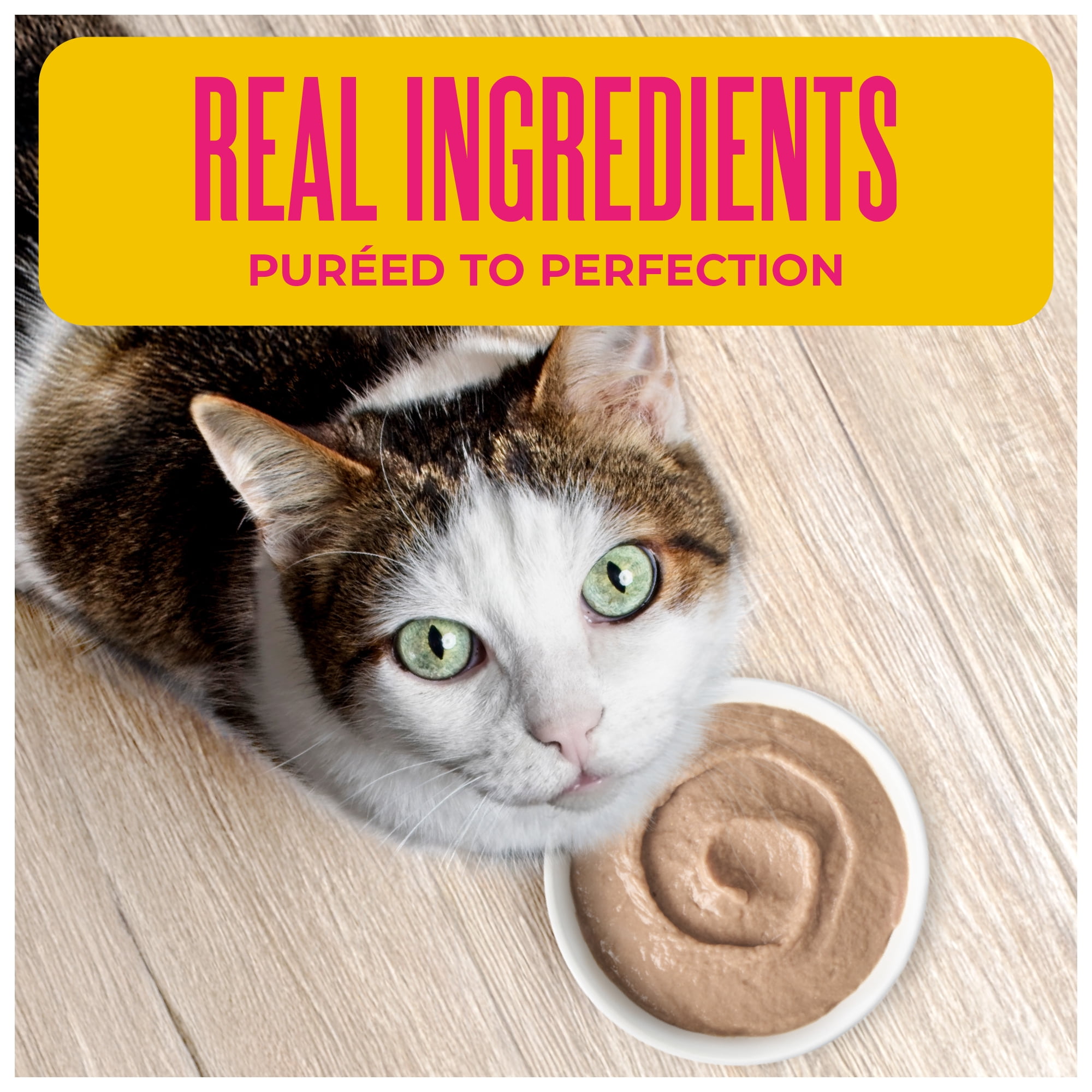 Tiki Cat Born Carnivore Wet Cat Food, Mousse, Tuna Recipe in Tuna Broth, 2.4 oz. Pouch