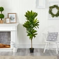 thumbnail image 3 of Nearly Natural 56" Dracaena Artificial Plant (Real Touch), Green, 3 of 4