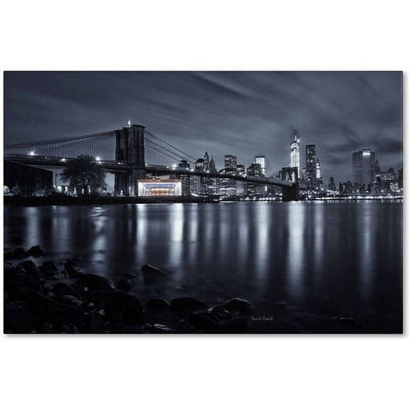 Trademark Fine Art "Jane's Carousel, Brooklyn Bridge" Canvas Art by David Ayash