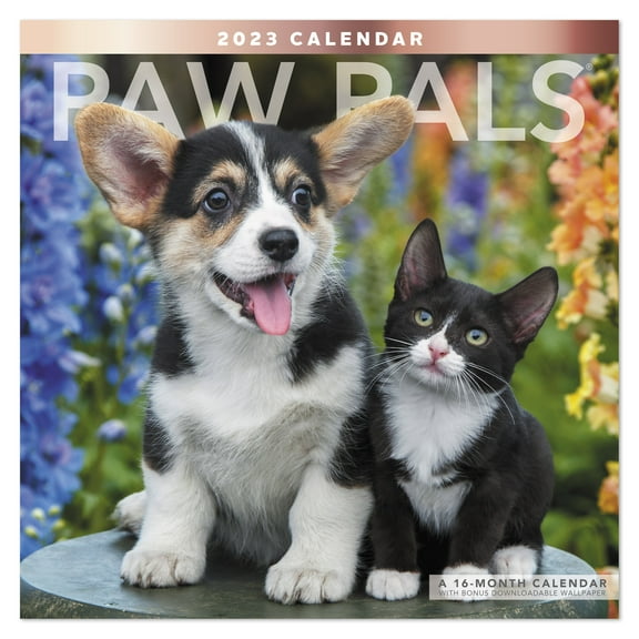 2023 Wall Calendar, Paw Pals, 12" x 12" by Mead (WMEP2610-23)