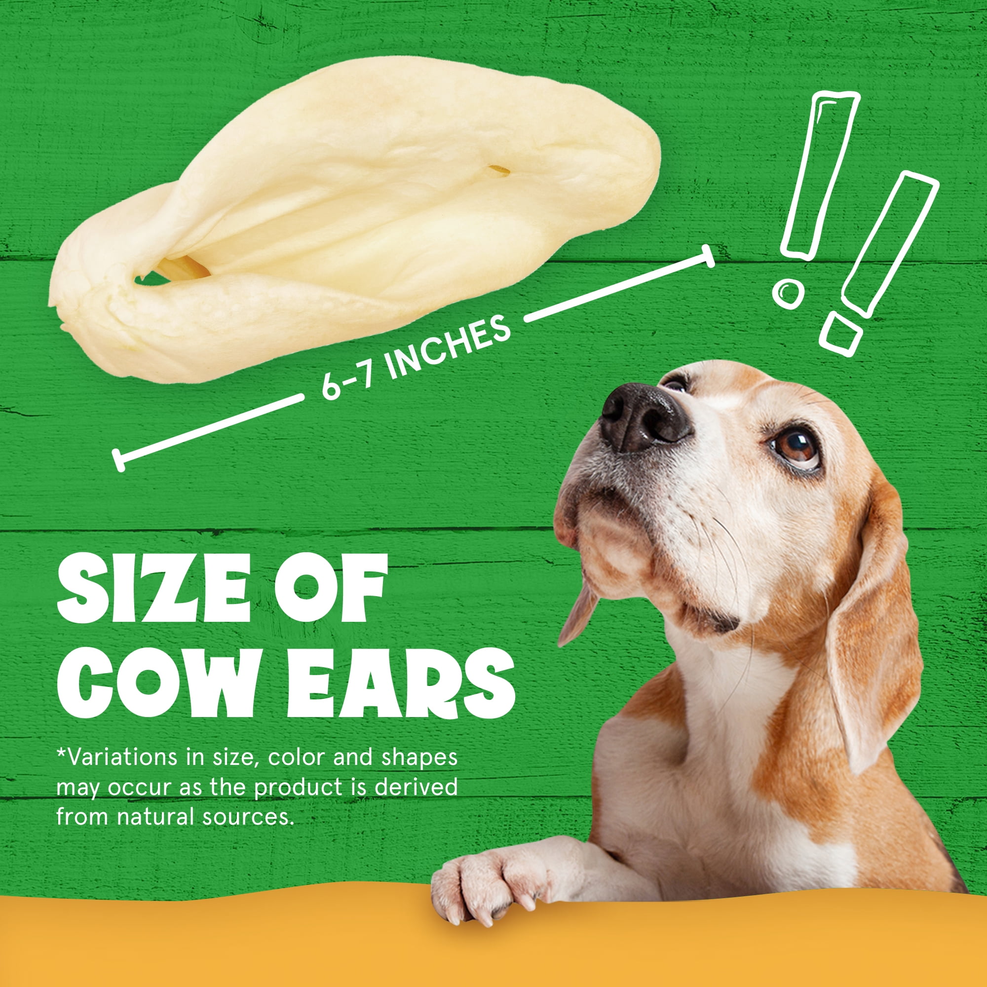 Cows Ears for Dogs, Thick Cut, Long Lasting Cow Ears