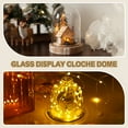 thumbnail image 7 of Cloche Glass Dome, 3.5" x 5" Glass Display Bell Jar, Glass Dome Cloche with Light Brown Base for DIY Flower Craft, 7 of 7