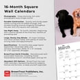 thumbnail image 2 of Labrador Retrievers | 2023 12x24 Inch Square Wall Calendar, 2 of 8