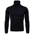 thumbnail image 1 of Suéter de cuello alto Suéter ajustado para hombre Suéter de lana con solapa Suéter de base gruesa para hombre Uso versátil, 1 of 6