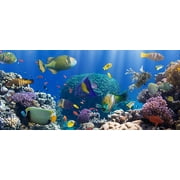 GreenDecor 7x5ft Underwater World Photography Backdrops Undersea Colorful Fish and Coral Background for Photographers Photo Backdrop