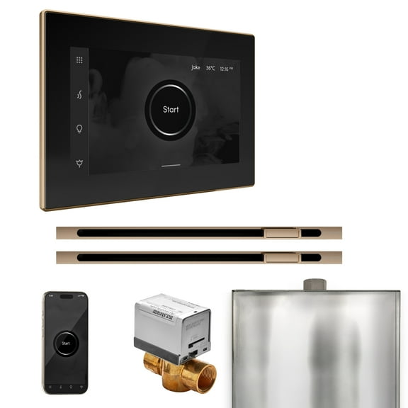 Mr Steam XButler Max Steam Shower Pkg w/iSteamX Control and Linear Steamhead in Black Polished Gold